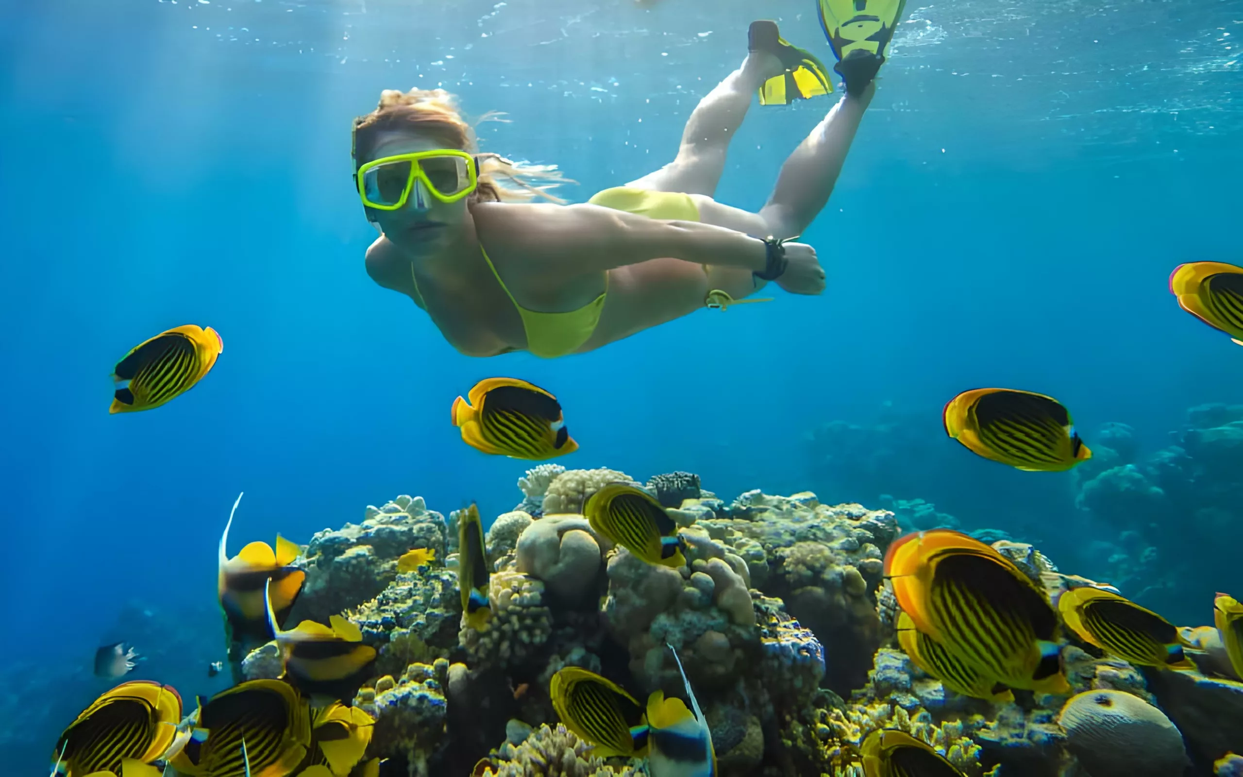 Tips for an Unforgettable Snorkeling Experience