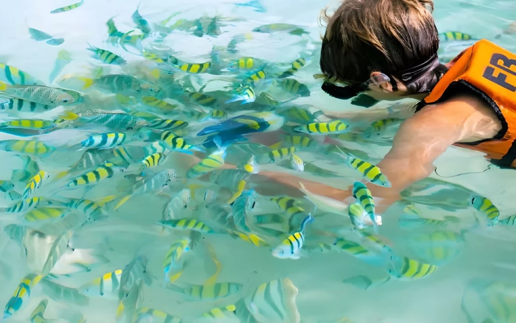 Snorkeling Banana Beach