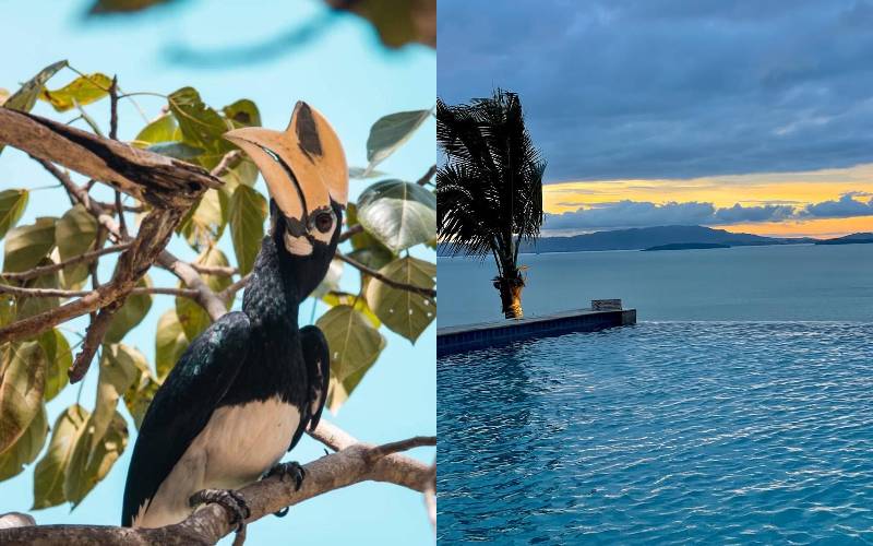 Top Island Tours in Phuket Top Island Tours in Phuket