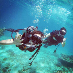 diving_Mnqmflp4mg