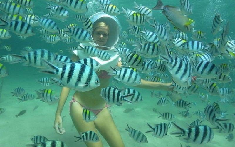 Sewalker Phuket, an adventure fit for the adventurous thrill-seekers.