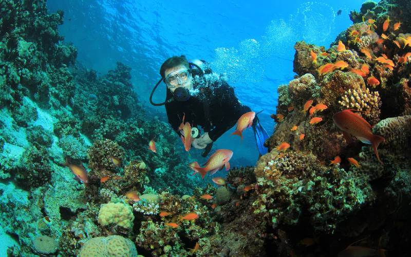 Day Trips and Scuba Diving on the island