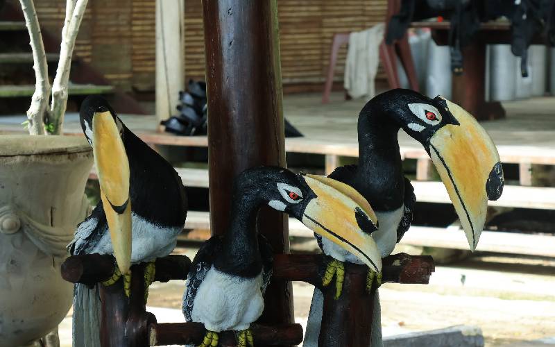 See beautiful animals on the island of Koh Hey