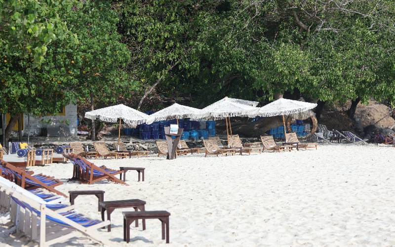 Island Paradise adventures on a pristine island.