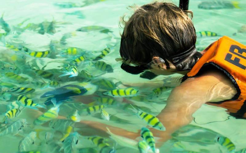 Best Island Tour in Phuket for children and adults